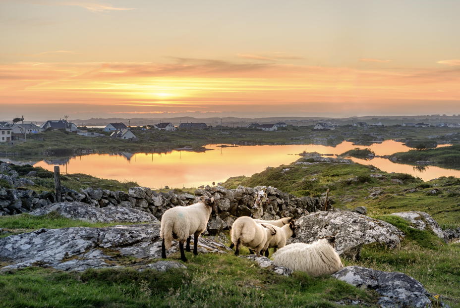 snapshot of ireland - WISPI